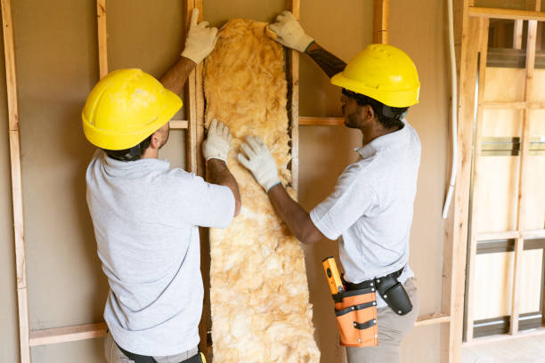 Tonganoxie, KS Insulation Removal & Installation Company