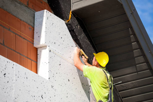 Best Attic Insulation Installation in Tonganoxie, KS